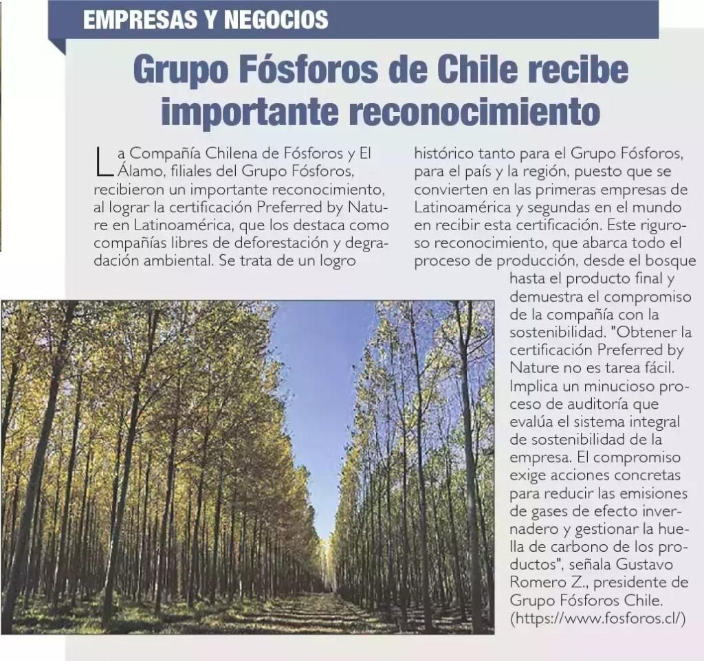 Grupo Fósforos de Chile es pionera en lograr la certificación libre de deforestación y degradación ambiental